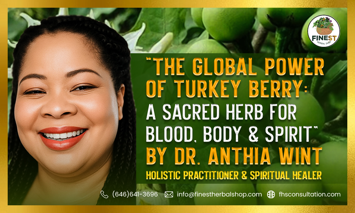 “The Global Power of Turkey Berry: A Sacred Herb for Blood, Body & Spirit”