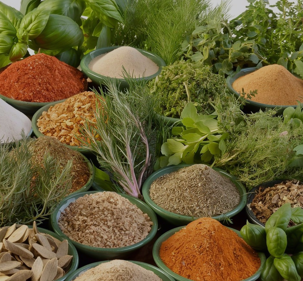 Herbs Versus Pills, Can Natural Remedies Replace Modern Medicine