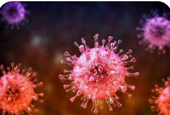 In-Depth Knowledge of HIV, Viruses, and Herpes: A Comprehensive Resource for Prevention, Natural Healing Methods,and Wellness Optimization